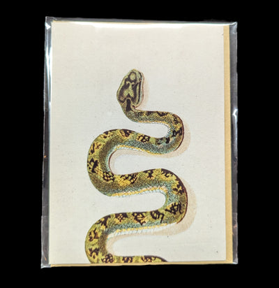 Green Snake Greeting Card-Cards-Cognitive Surplus-PaxtonGate