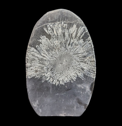 Chrysanthemum Stone-Fossils-Guilin Jinglin Minerals-PaxtonGate