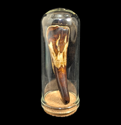 Glass Dome Cloche-Decor-Beebee Craft-PaxtonGate