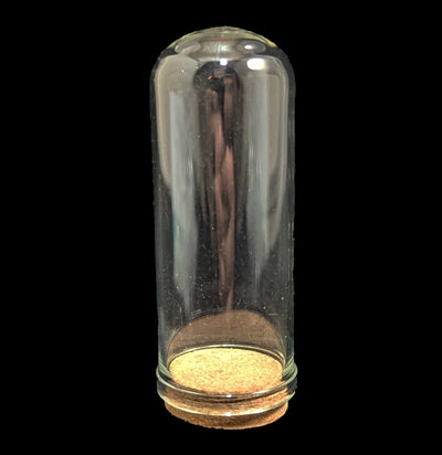 Glass Dome Cloche-Decor-Beebee Craft-PaxtonGate