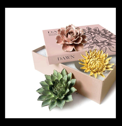 Dawn Ceramic Flower Box Set - Paxton Gate