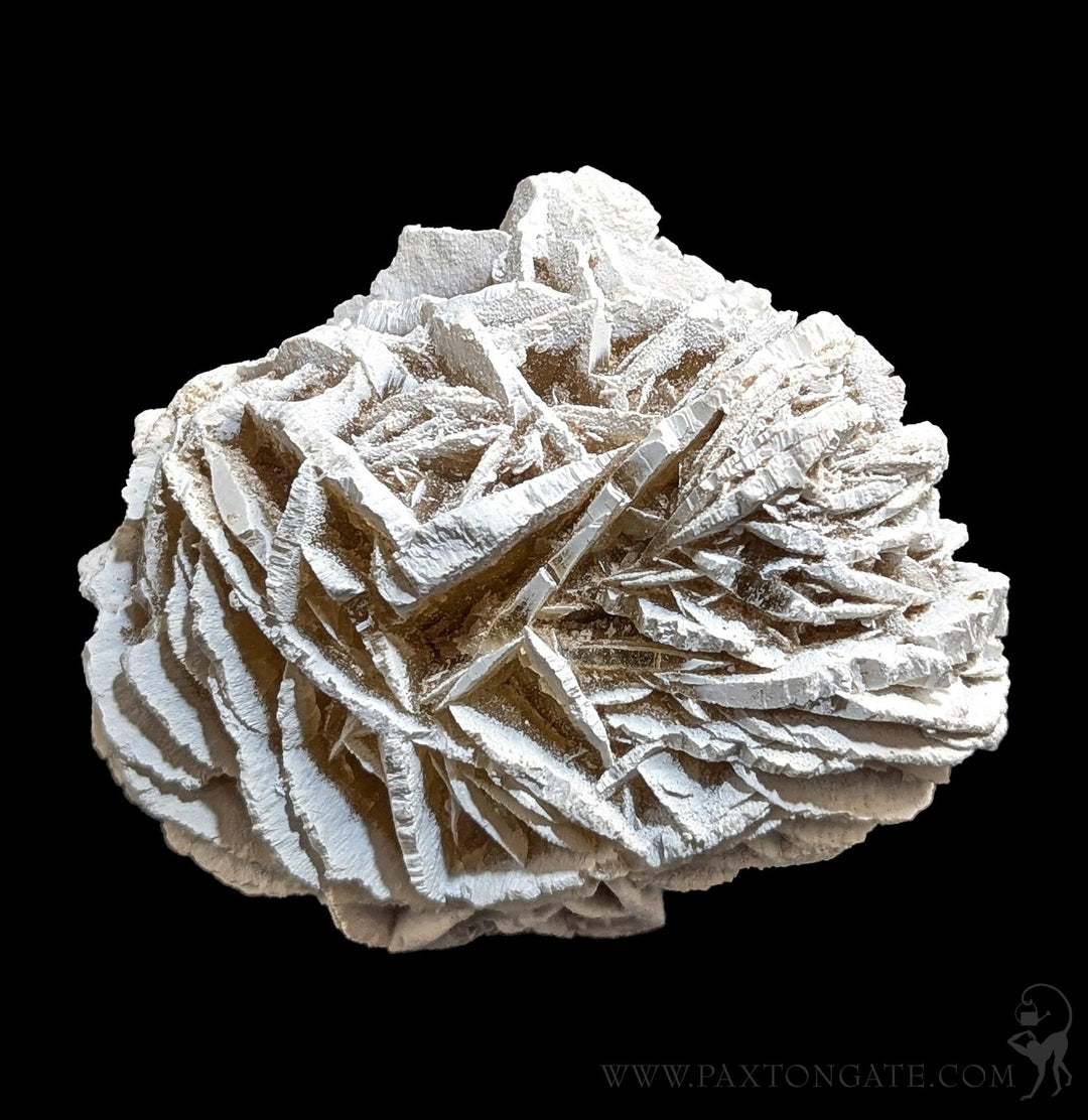Desert Rose Gypsum Spheres For Sale | Paxton Gate