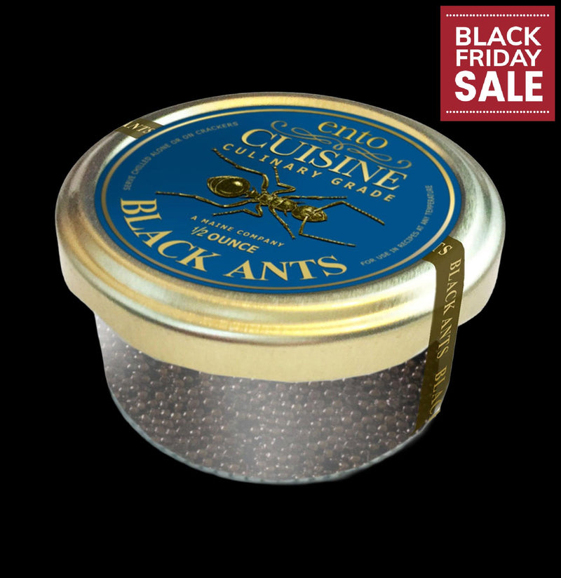 Culinary Grade Black Ants-Insects-EntoLife Edible Insects-PaxtonGate