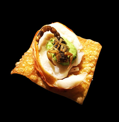 Culinary Grade Scorpions-Insects-EntoLife Edible Insects-PaxtonGate