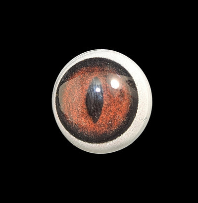 Glass Gray Fox White Banded Taxidermy Eye-Taxidermy Supplies-McKenzie Taxidermy Supply-PaxtonGate