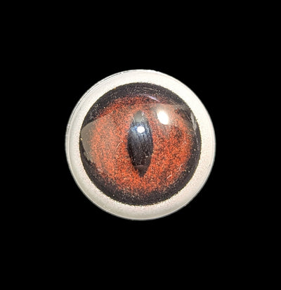 Glass Gray Fox White Banded Taxidermy Eye-Taxidermy Supplies-McKenzie Taxidermy Supply-PaxtonGate