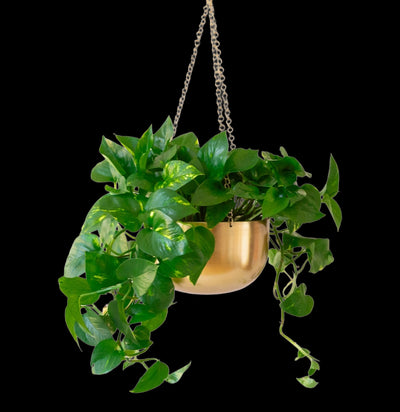 Gold Hanging Planter-Pots, Planters & Vases-Jungle Club-PaxtonGate