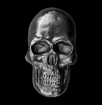 Graphite Skull Curio Object-Office-Batle Studio-PaxtonGate