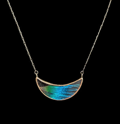 Peacock Feather Crescent Necklace-Necklaces-Hart Variations-PaxtonGate