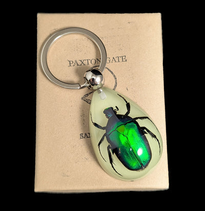Glow In The Dark Rutelinae Beetle Keychain-Insects-Real Insect Company-PaxtonGate