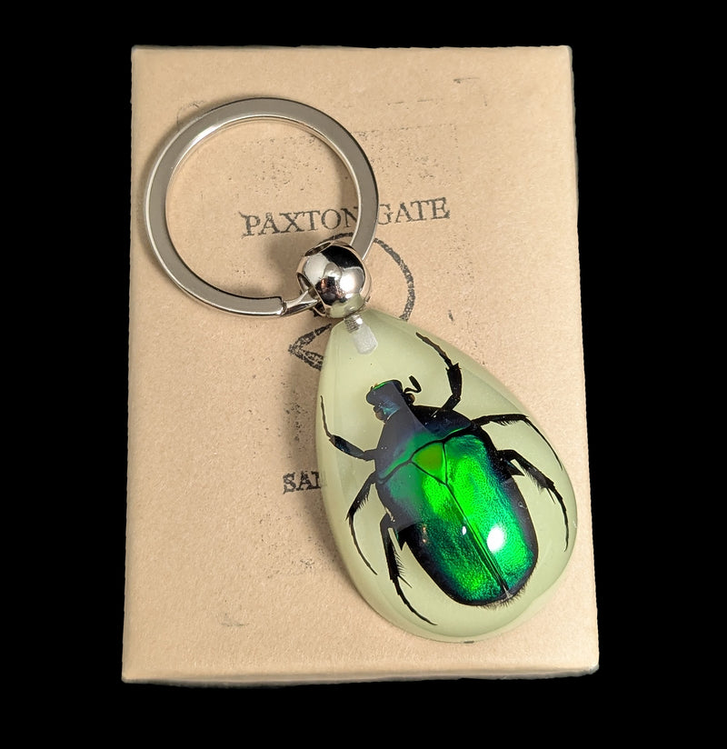 Glow In The Dark Rutelinae Beetle Keychain-Insects-Real Insect Company-PaxtonGate