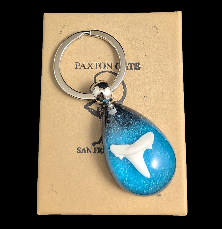 Shark Tooth Keychain For Sale | Paxton Gate