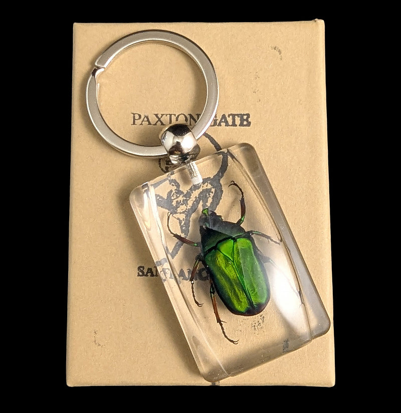 Green Rose Chafer Beetle Keychain For Sale | Paxton Gate