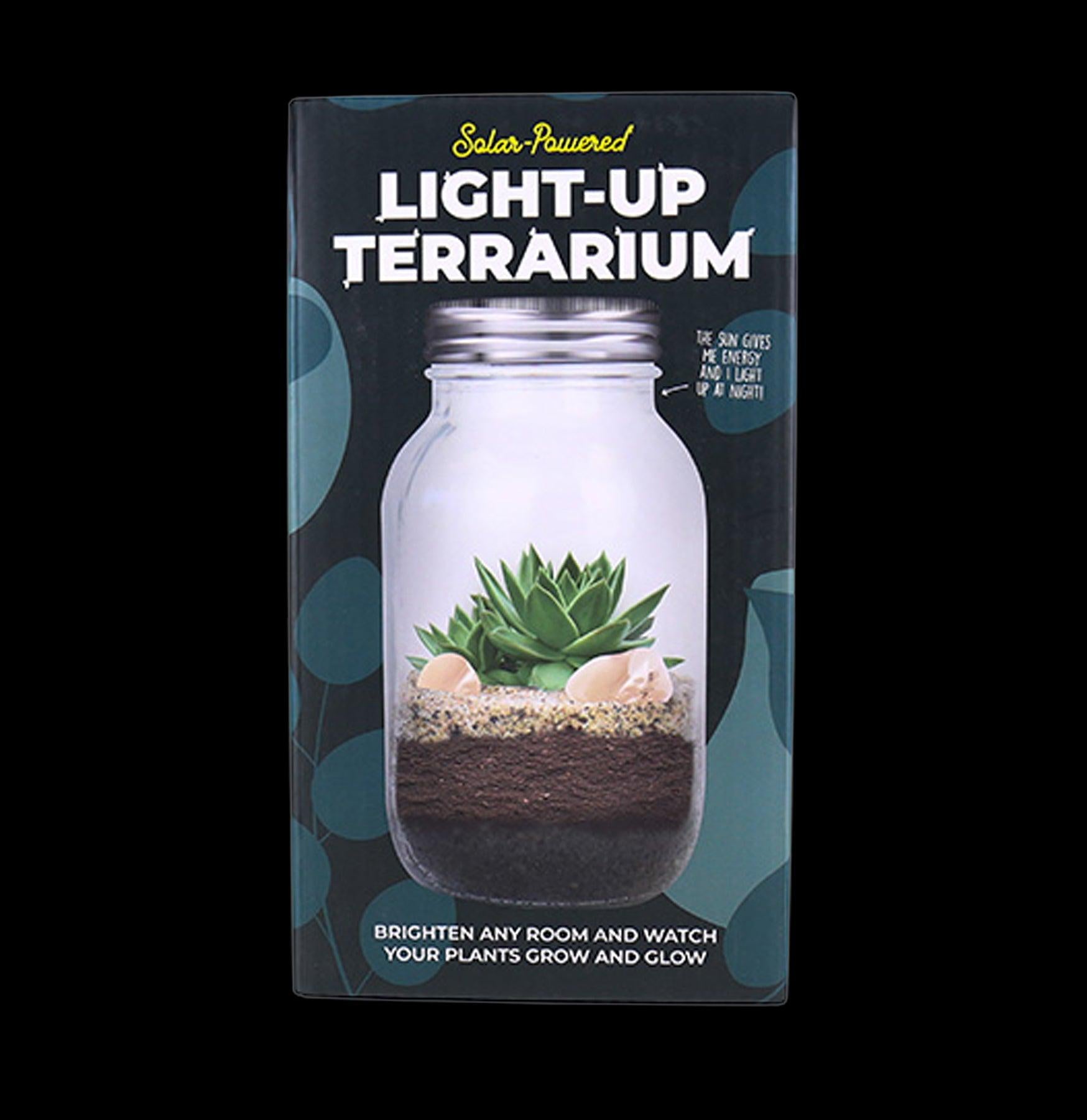 terrarium plant light Light Up Terrarium
