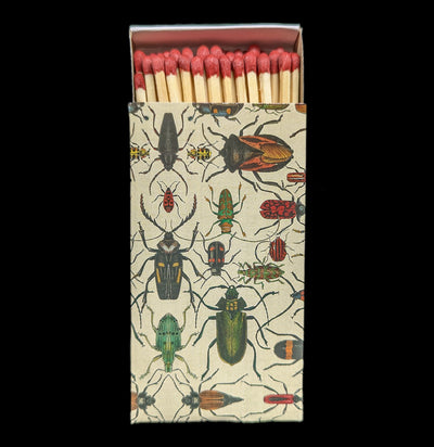 Mixed Beetles Matches-Matches-Hom Art-PaxtonGate