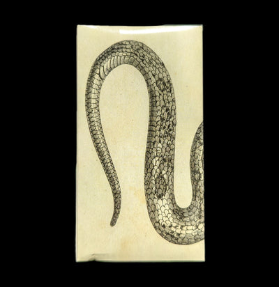 Snake Matches-Matches-Hom Art-PaxtonGate