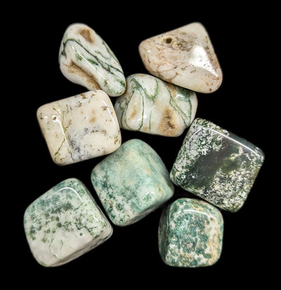 Tumbled Moss Agate Stone-Minerals-Quasar Gems-PaxtonGate