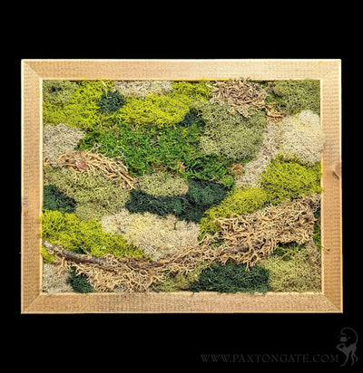 Rectangular Moss Wall-Decor-Wren Sayler-PaxtonGate