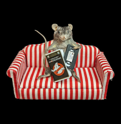 Ghostbusters Movie Night Taxidermy Mouse-Taxidermy-Classic mouse parade-PaxtonGate