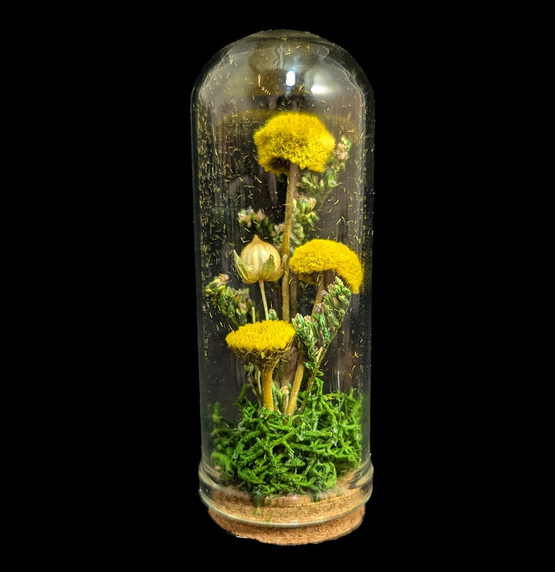 Mushroom Cloche