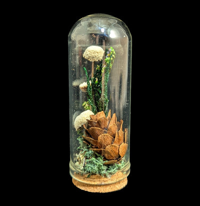 Mushroom Cloche