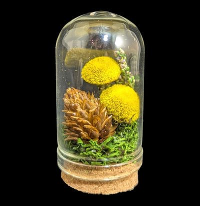 Mushroom Cloche
