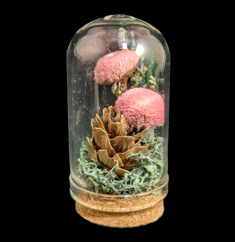 Mushroom Cloche