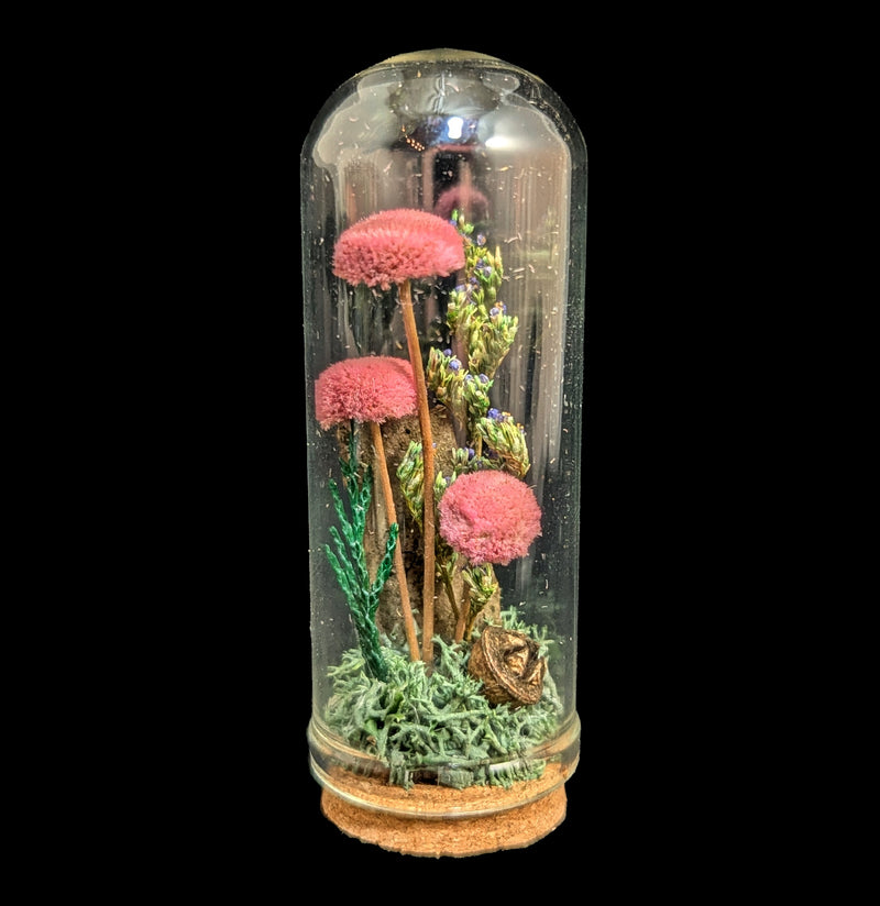 Mushroom Cloche