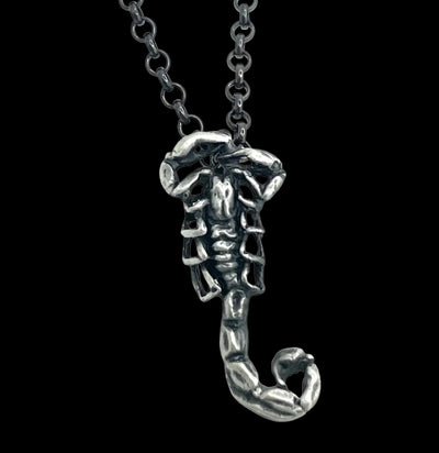 Sterling Silver Scorpion Charm Necklace-Necklaces-THEETH-PaxtonGate