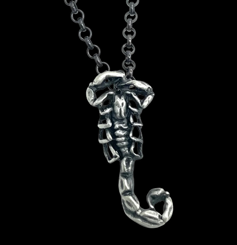 Sterling Silver Scorpion Charm Necklace-Necklaces-THEETH-PaxtonGate