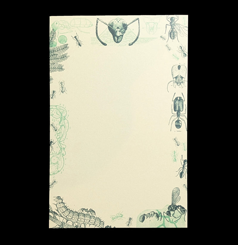 Ant Notepad-Notebooks-Cognitive Surplus-PaxtonGate