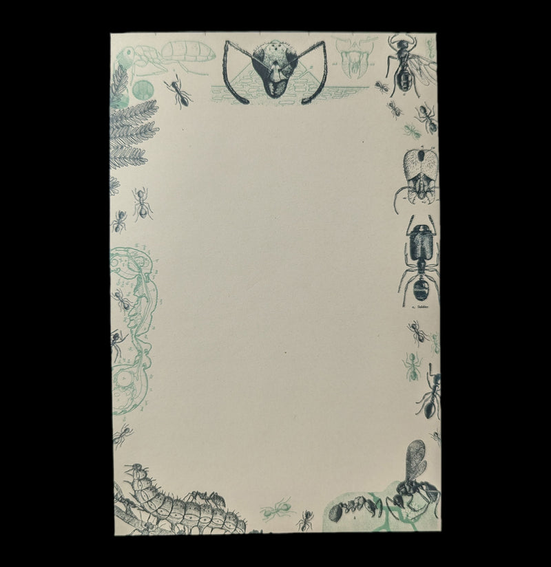 Ant Notepad-Notebooks-Cognitive Surplus-PaxtonGate