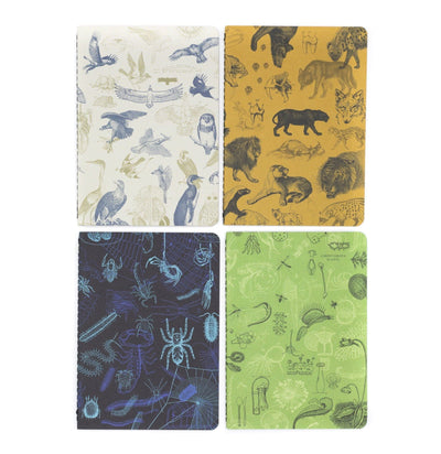 Carnivores Pocket Notebook 4-pack-Notebooks-Cognitive Surplus-PaxtonGate