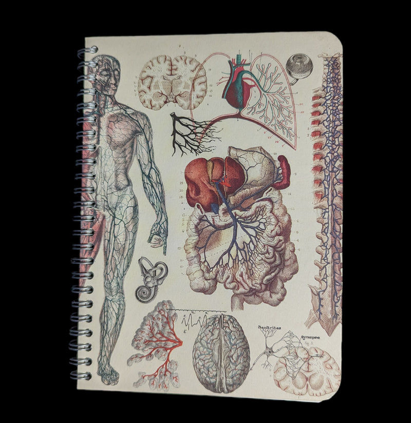 Human Anatomy Spiral Notebook-Notebooks-Cognitive Surplus-PaxtonGate