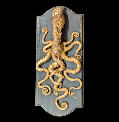 Large Octopus Mount-Taxidermy-Scientific Woman-PaxtonGate