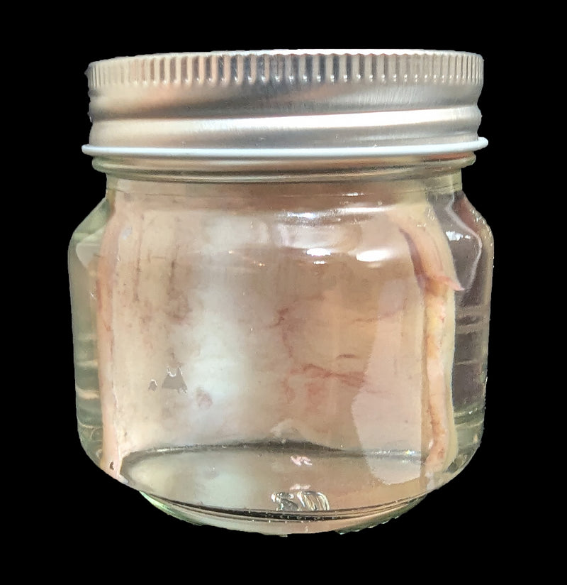 Ace of Hearts Tattoo on Pig Skin Wet Specimen-WetSpecimn-Blood Money Canvas-PaxtonGate