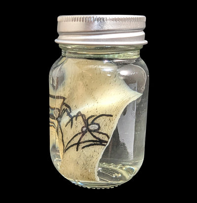 Spider Heart Tattoo on Pig Skin Wet Specimen-WetSpecimn-Blood Money Canvas-PaxtonGate