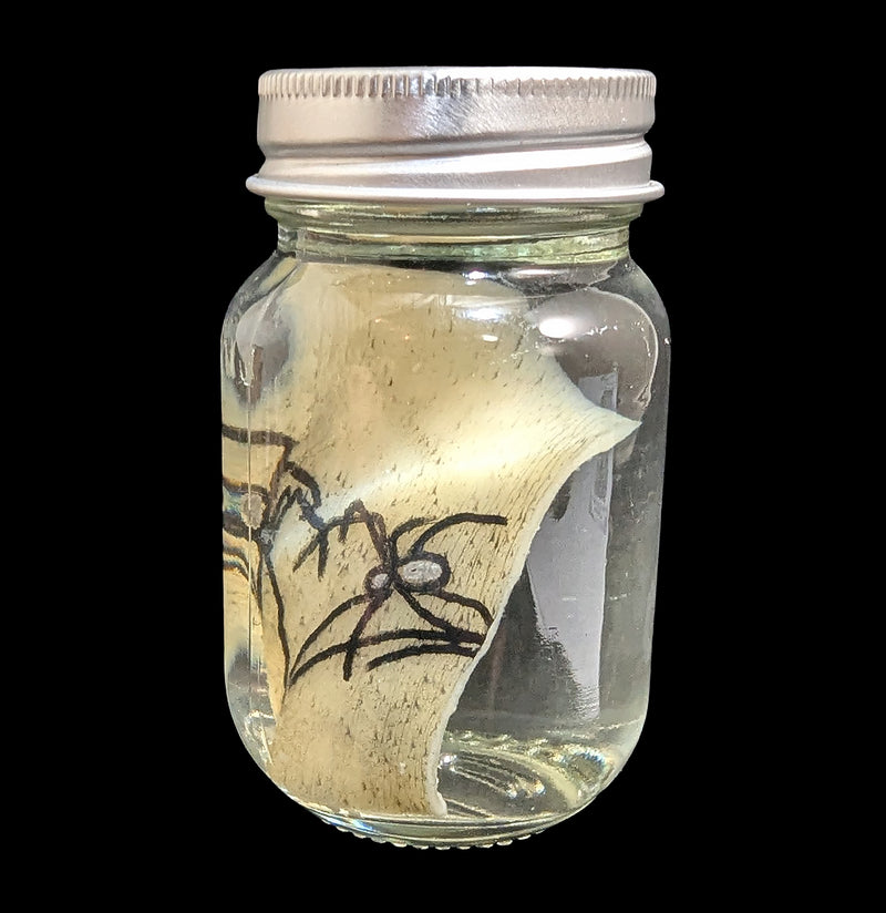 Spider Heart Tattoo on Pig Skin Wet Specimen-WetSpecimn-Blood Money Canvas-PaxtonGate