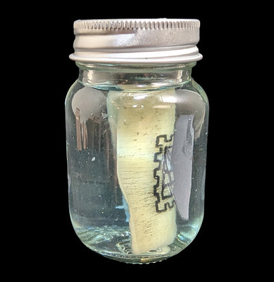 Spiderweb Stamp Tattoo on Pig Skin Wet Specimen-WetSpecimn-Blood Money Canvas-PaxtonGate