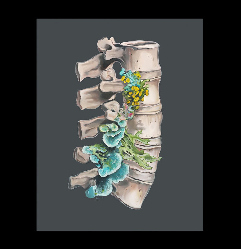 Floral Lumbar Flower Anatomy Art Print-Prints-Trisha Thompson Adams-PaxtonGate