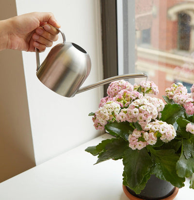 Stainless Steel Watering Can-Handtools-Kikkerland-PaxtonGate