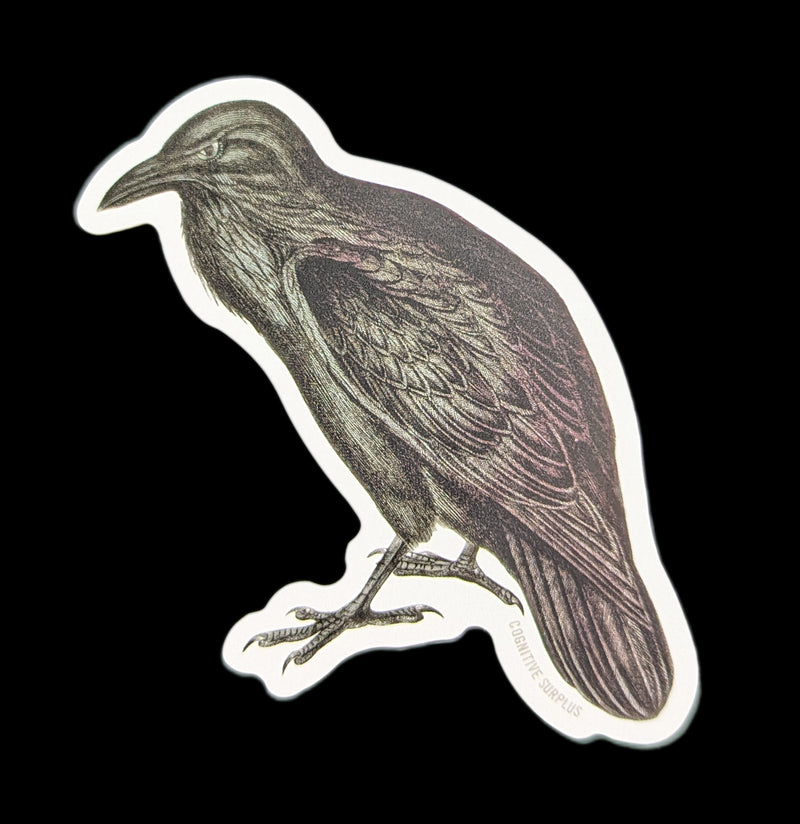 Raven Sticker-Stickers-Cognitive Surplus-PaxtonGate