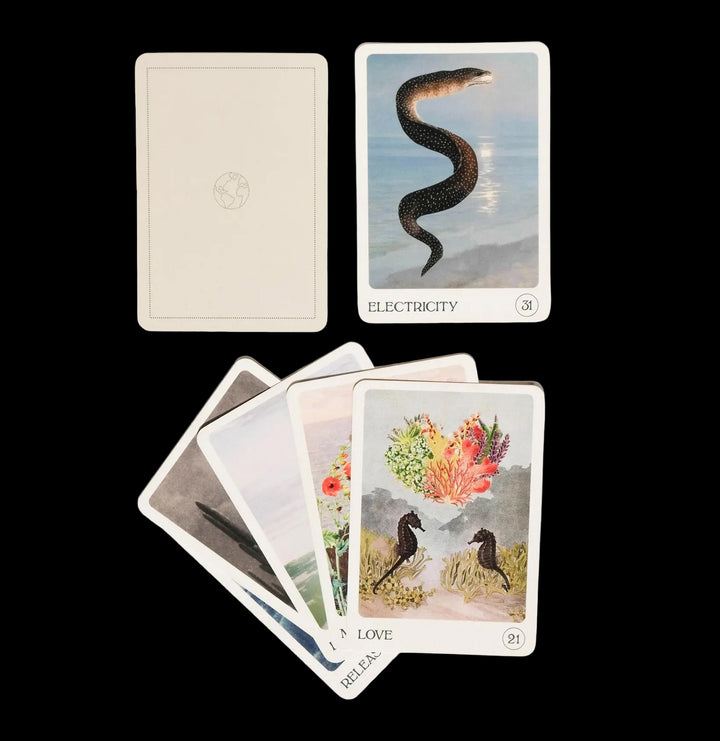 The Earth Oracle Deck For Sale | Paxton Gate
