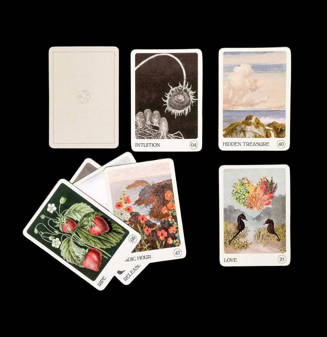 その他 Eva Petric / Oracle The Earth Oracle Deck For Sale | Paxton Gate