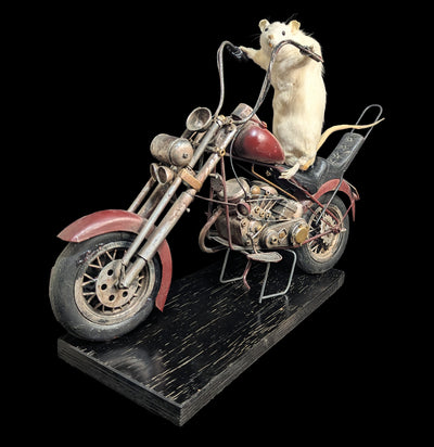 Taxidermy Rat on a Red Motorcycle-Taxidermy-Geoffrey Vassallo-PaxtonGate
