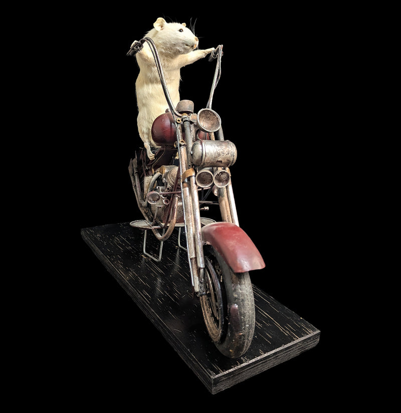 Taxidermy Rat on a Red Motorcycle-Taxidermy-Geoffrey Vassallo-PaxtonGate
