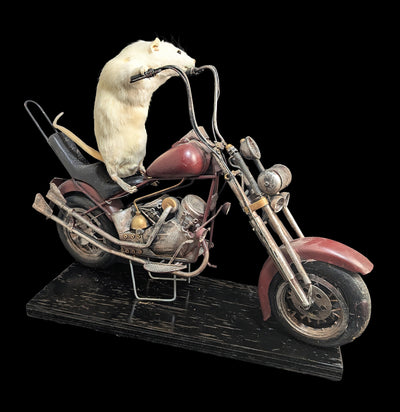 Taxidermy Rat on a Red Motorcycle-Taxidermy-Geoffrey Vassallo-PaxtonGate