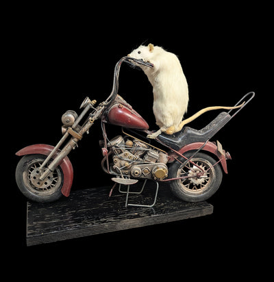 Taxidermy Rat on a Red Motorcycle-Taxidermy-Geoffrey Vassallo-PaxtonGate