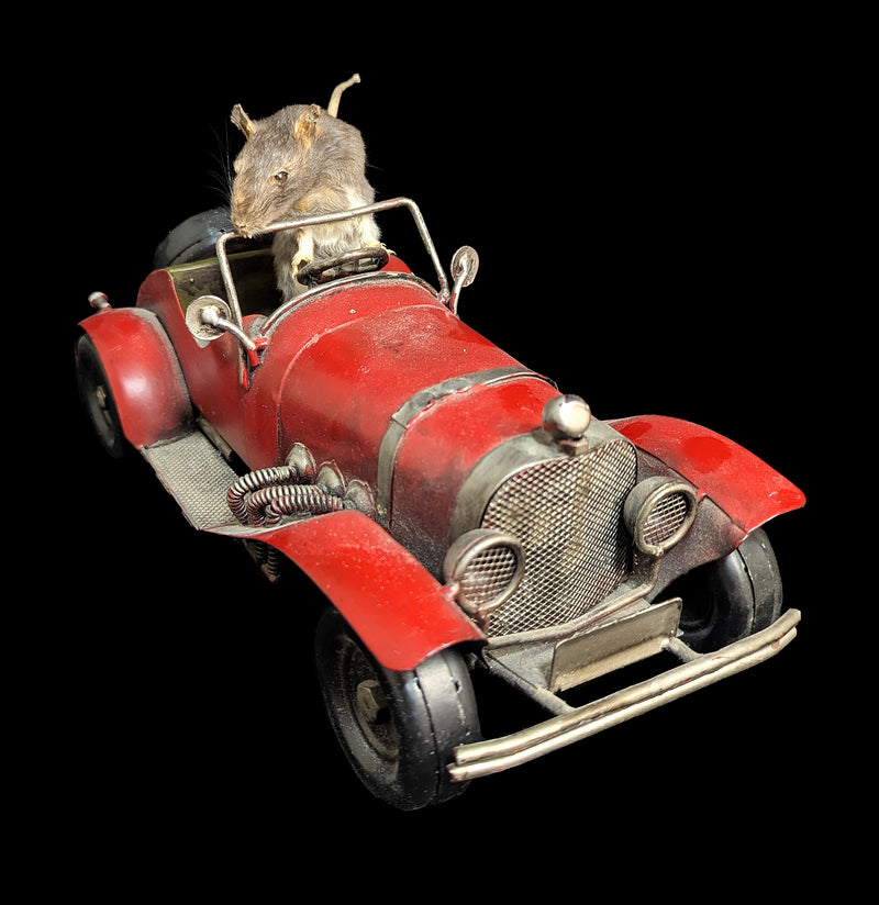 Vintage Automobile Mouse Taxidermy-Taxidermy-Geoffrey Vassallo-PaxtonGate