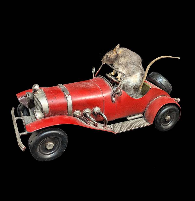 Vintage Automobile Mouse Taxidermy-Taxidermy-Geoffrey Vassallo-PaxtonGate